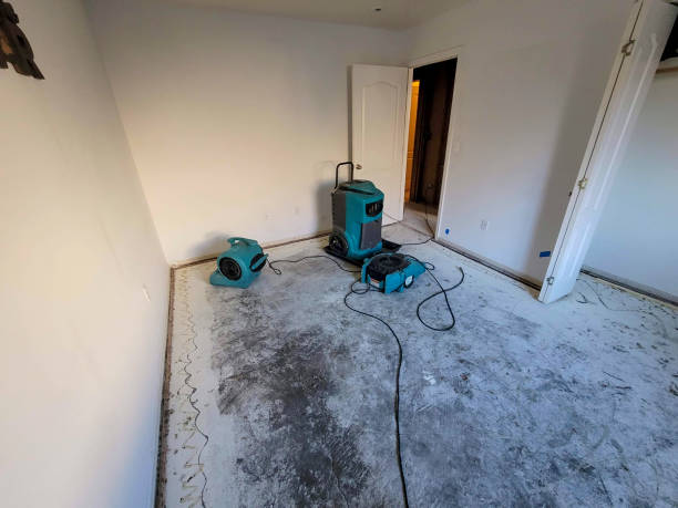 Best Water damage restoration specialists  in Richgrove, CA