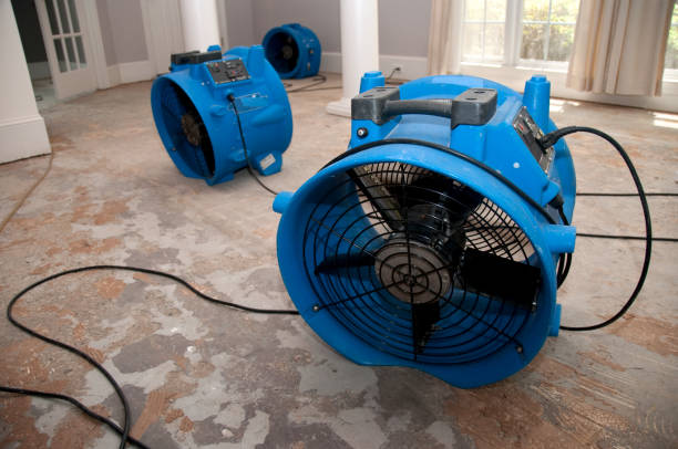 Professional Water damage restoration in Richgrove, CA