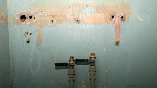 Best Water damage restoration experts  in Richgrove, CA