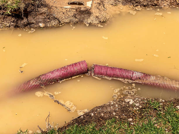 Best Professional water damage repair  in Richgrove, CA